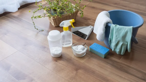 ホームページを公開しました。